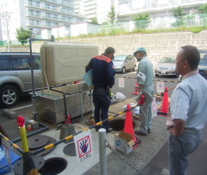 11,8 F2sumikawa003