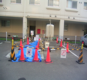 11,8 F2sumikawa004