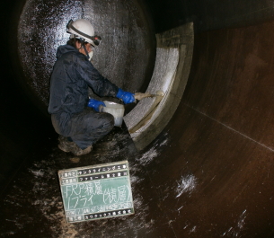 11,8 F2sumikawa010