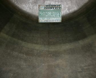 11,8 F2sumikawa012
