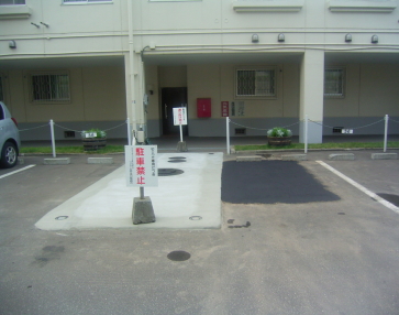 11,8 F2sumikawa014